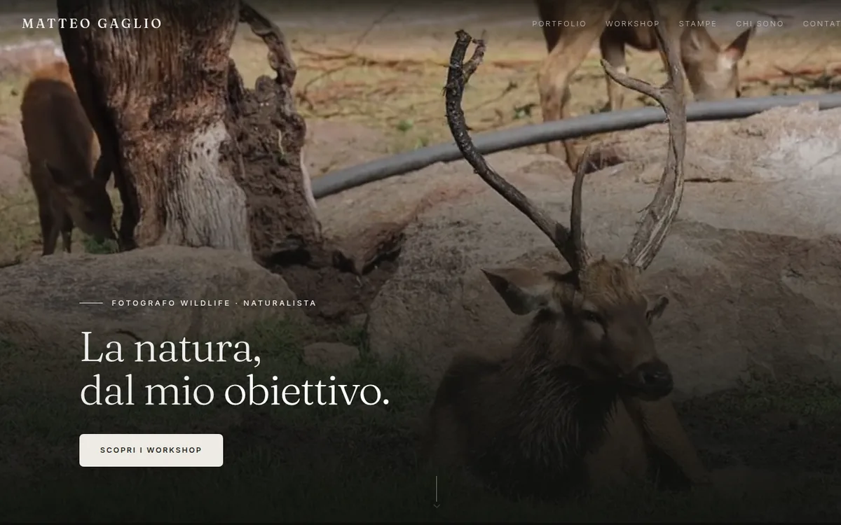 Schermata del sito realizzato per Matteo Gaglio, fotografo naturalista
